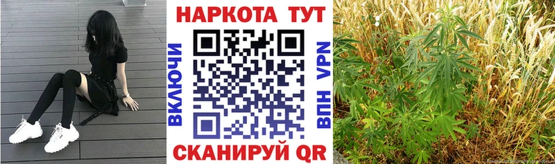 Виды наркотиков купить Лянтор Alpha-PVP  ГАШ  ТГК  КОКАИН  Конопля 