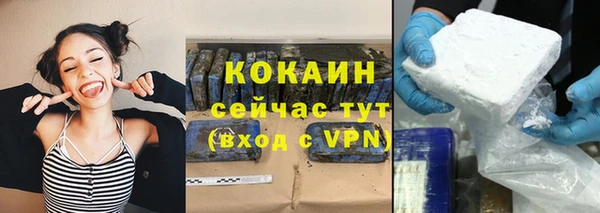 шишки Аркадак
