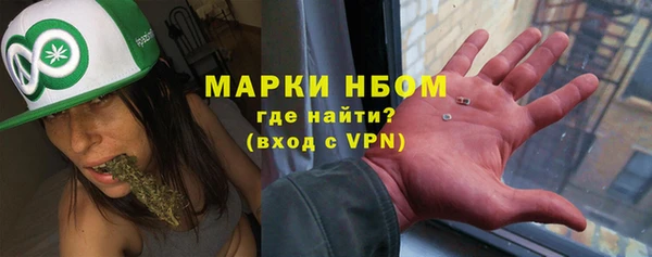 шишки Аркадак